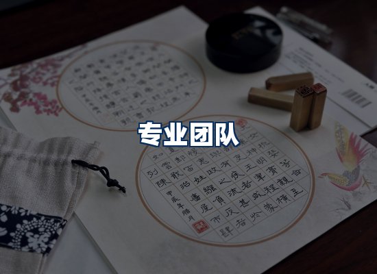 专业团队