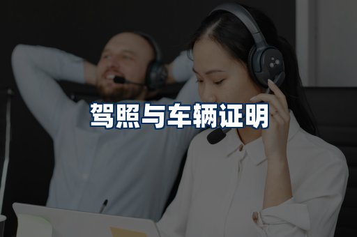 车辆证明展示